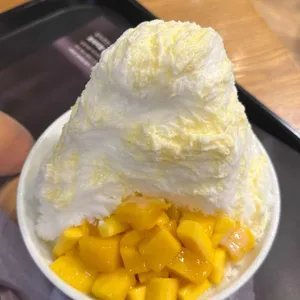 로이즈 사진