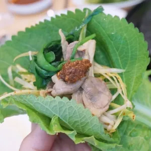 도화정 사진