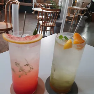 버치 사진