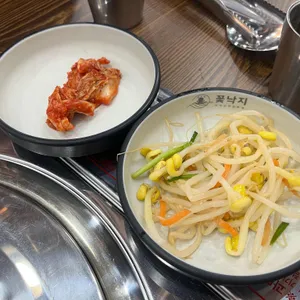 꽃낙지 사진