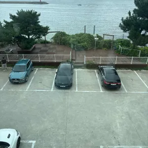 할리스 리뷰 사진