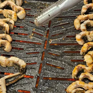 힘센풍천장어 사진