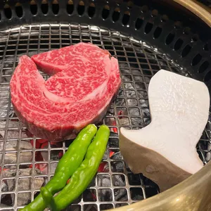 우사 사진