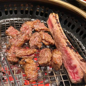 우사 사진