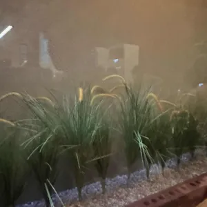 대감댁 리뷰 사진