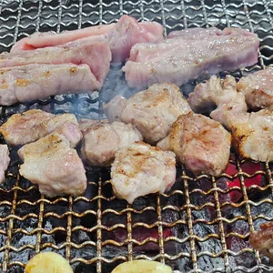 황소고집 사진