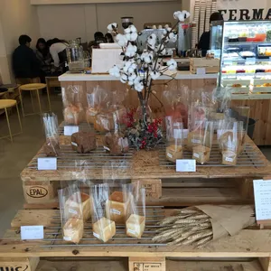페르마타 사진