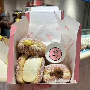 노티드 사진