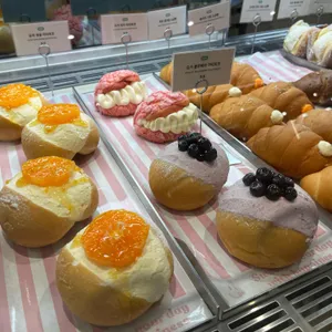 노티드 사진