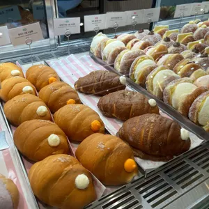 노티드 사진