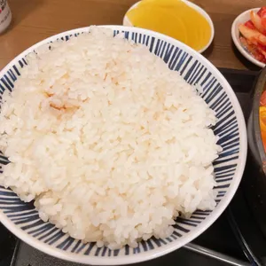 델리 사진