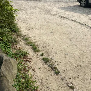 황금정원 리뷰 사진
