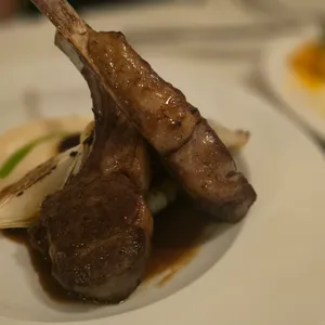 꼼모아 사진