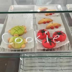 사계절, 일기 사진