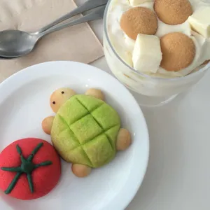 사계절, 일기 사진