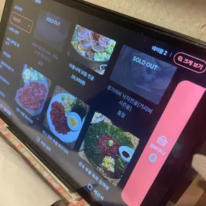 금잔화 리뷰 사진