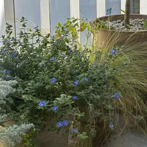 커피리브레 리뷰 사진