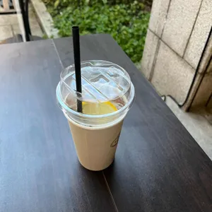 콘드에뻬뻬 사진