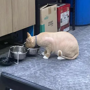 복수분식 사진