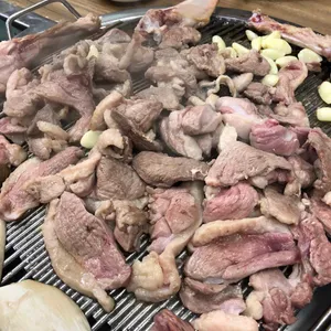 낙동강오리알 사진