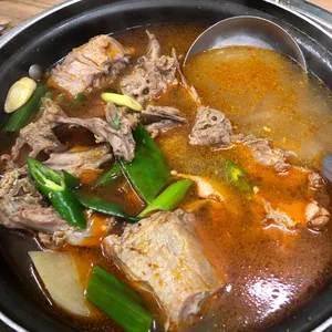 낙동강오리알 사진