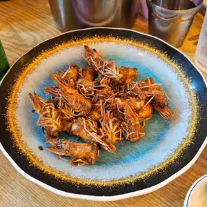 회 하야부사 사진