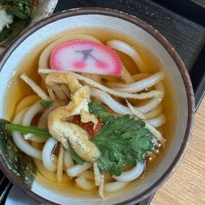 해랑화 사진