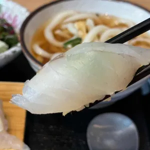 해랑화 사진