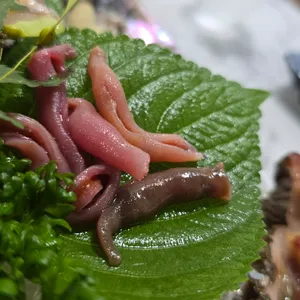 거문도 리뷰 사진