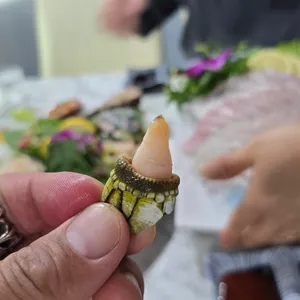 거문도 리뷰 사진
