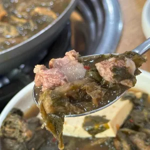 사리원 사진