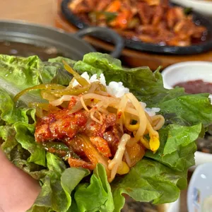 사리원 사진