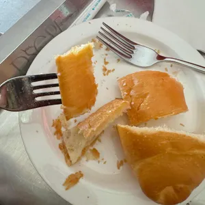 디스케이프 사진