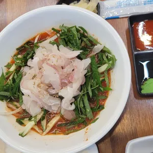 광어다 사진