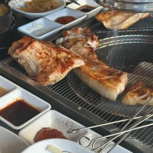 피아노줄타는돼지 대표 사진