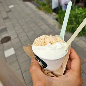 젤라떼리아 여름 대표 사진