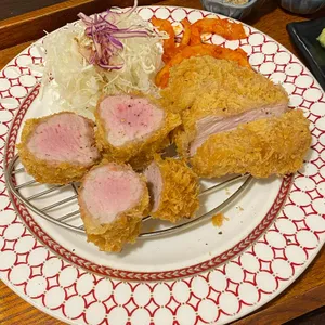 동백카츠 사진