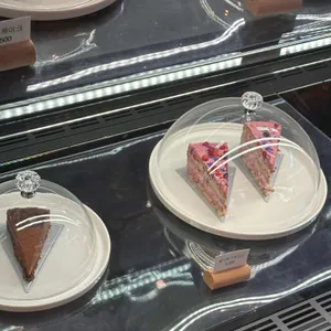 코스모 사진