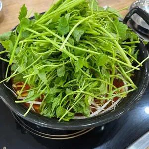 등촌샤브칼국수 사진