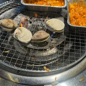 조새호 사진