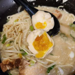 코이라멘 사진
