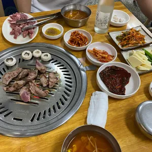 부산갈매기 사진