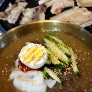 한짝 사진