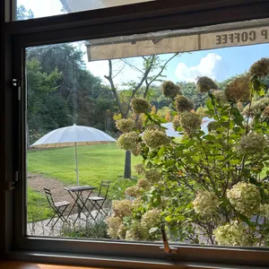 비진숲커피 리뷰 사진