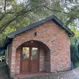 비진숲커피 리뷰 사진