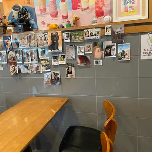 토프레소 사진 1