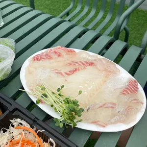 거북이네 사진