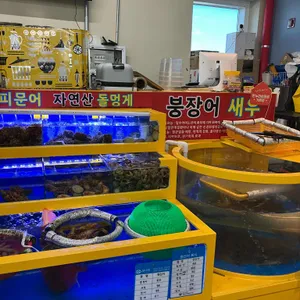 거북이네 리뷰 사진