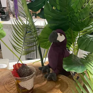 오크베리 리뷰 사진