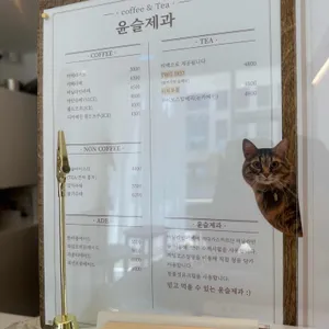 윤슬제과 리뷰 사진